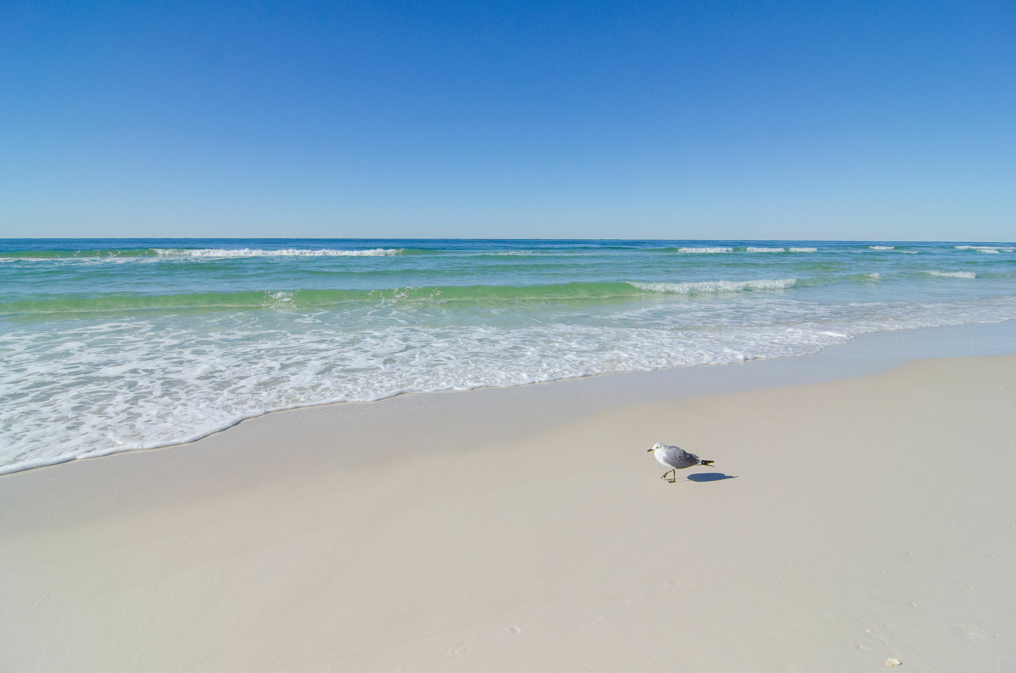 Sunswept By Panhandle Getaways Panama City Beach Kültér fotó